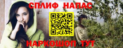 дживик Вышний Волочёк
