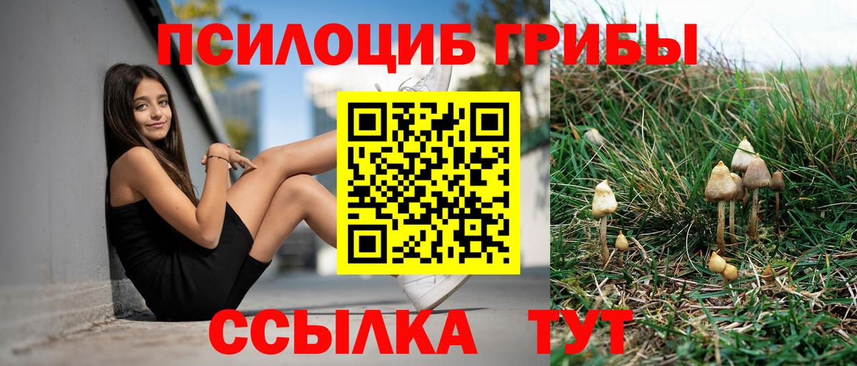 Псилоцибиновые грибы Magic Shrooms Брянск