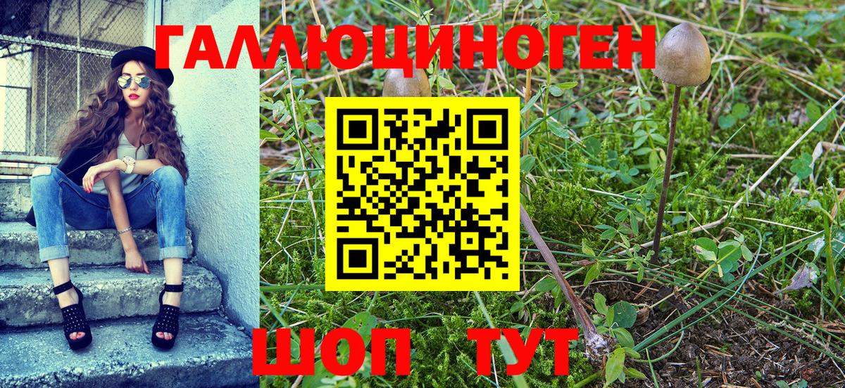 наркота  Вход с VPN  Брянск  Псилоцибиновые грибы мухоморы 