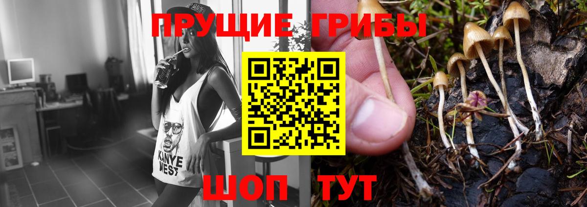 Псилоцибиновые грибы MAGIC MUSHROOMS  Брянск 