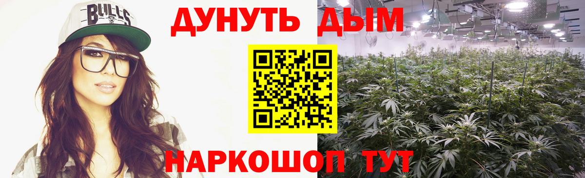 Каннабис план  Вход с VPN  Шишки марихуана тримм  Конопля марихуана  Брянск  Бошки марихуана марихуана 
